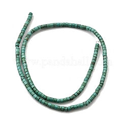 Природные Говлит бисер нитей G-F791-A01