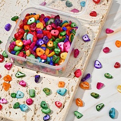 Природные окрашенные бусины оболочки G-YW0001-15