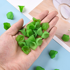 Прозрачные колпачки акриловая бисера X-PL551-C07