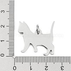 Подвески из нержавеющей стали 304&nbsp;STAS-E205-06P