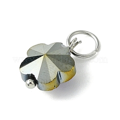 16шт 8 цвета стеклянные подвески&nbsp;PALLOY-JF03194