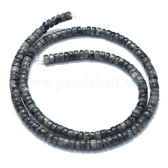 Натуральные нити бус из ларвикита G-F631-A15