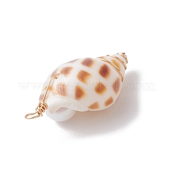 3 шт. Подвески из натуральных ракушек&nbsp;PALLOY-JF03226-01