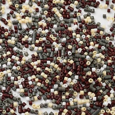 Выпечка краска стеклянные бусины SEED-S042-05B-55-1