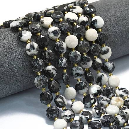 Природные зебры яшмы бисер нитей G-C116-A122-01-1