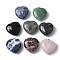 Natural Mixed Gemstone Pendants, Heart Charms with Platinum Tone Brass Findings, 30.5x30x13mm, Hole: 7x4mm