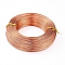 Anodized Aluminum Wire, Bendable Metal Craft Wire, Flexible Craft Wire, for Beading Jewelry Craft Making, Sandy Brown, 17 Gauge, 1.2mm, 140m/500g(459.3 Feet/500g)