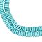 2 Strands Synthetic Turquoise Beads Strands, Flat Round/Disc, 10x3mm, Hole: 1.2mm, about 118pcs/strand, 15.12''(38.4cm)