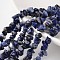 Chip Natural Blue Spot Stone Bead Strands, 4~6x8~12x2~4mm, Hole: 1mm, about 80~81cm