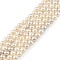 Electroplated Natural Freshwater Shell Beads Strands, Round, WhiteSmoke, 6mm, Hole: 0.8mm, about 65pcs/strand, 15.75 inch(40cm)