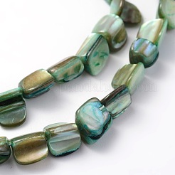 Нити бусин из натуральных морских раковин неправильной формы SSHEL-X0001