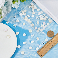 70шт. 5 набора бусин из натуральных белых ракушек BSHE-FH0001-03