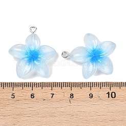 Прозрачные смоляные подвески&nbsp;RESI-P048-01P