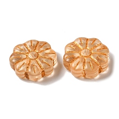 Прозрачные бусины лэмпворк&nbsp;LAMP-P065-03A-06