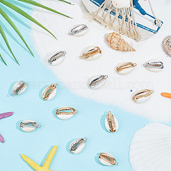 20 шт. подвески из ракушек каури в двух стилях SSHEL-GO0001-01