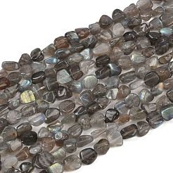 Природные лабрадорита бисер нитей G-Q060-E20-01