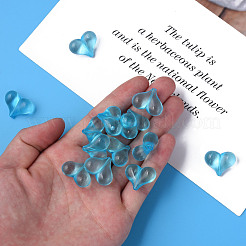 Прозрачные акриловые бусины MACR-S373-70-B08