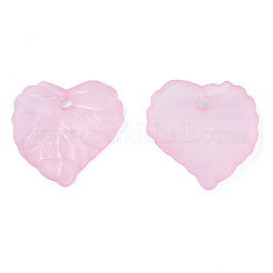 Прозрачные акриловые подвески TACR-S157-01E