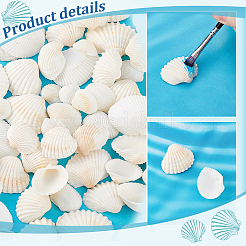 Украшение дома из натуральных ракушек AJEW-PH0012-03