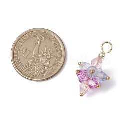 5шт. подвески-цветы из акрила PALLOY-JF03056