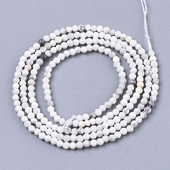 Природные Говлит бисер нитей G-R462-007