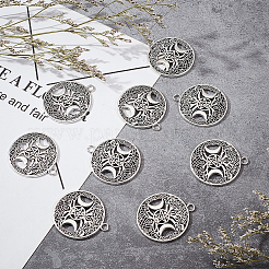 Тибетский стиль полые литые подвески&nbsp;TIBEP-PH0001-53