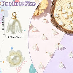 30 шт. подвески из непрозрачной смолы с имитацией жемчуга&nbsp;FIND-YW0009-02