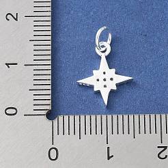 S925 подвеска из стерлингового серебра с микропаве из кубического циркония&nbsp;LS-STER-H115-02B-S