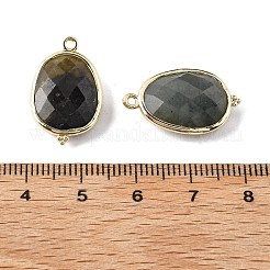 Натуральный лабрадорит ограненные овальные подвески-коннекторы G-H323-02G-09