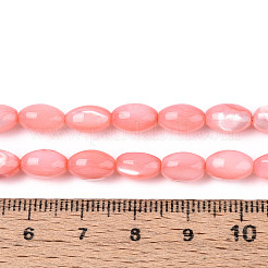 Нити бусин из натуральной ракушки трохус SHEL-K006-19-01E