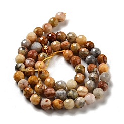 Натуральные сумасшедшие кружевные агатовые бусины G-E571-36A