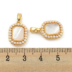 Латунные подвески из ракушек KK-G490-43G