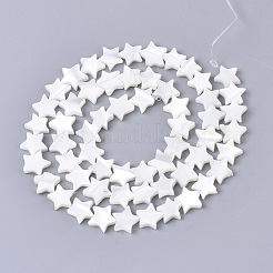 Натуральная оболочка трохида SSHEL-N034-68B