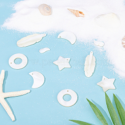 Природные подвески оболочки пресноводных&nbsp;SHEL-FH0001-04