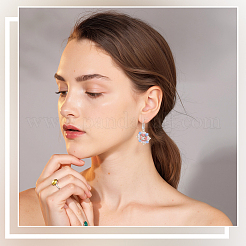 20 пара латунных крючков для сережек с покрытием&nbsp;KK-SC0006-59S