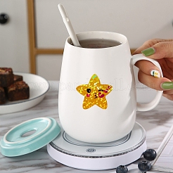 Пластиковые рулоны наклеек с лазерной звездой PW-WG60442-01