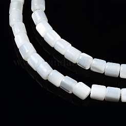 Нити бусин из натуральных трохоидных/трохус ракушек SSHEL-N034-77-A01