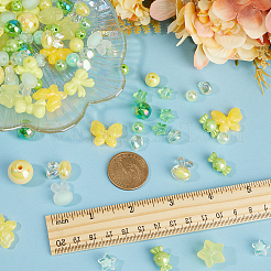 170шт 17 стиля непрозрачные и прозрачные акриловые бусины&nbsp;MACR-SC0002-15