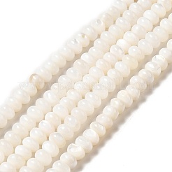 Нити бусин из натуральных пресноводных ракушек BSHE-E026-15A-02