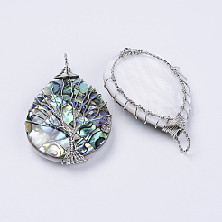 Раковины ушка / ракушка большие кулоны KK-P132-03P