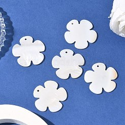 Подвески из раковины&nbsp;PBB180Y