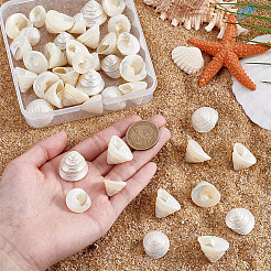 100 г украшения из натуральной ракушки&nbsp;SSHEL-PH0001-40B