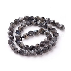 Натуральный кунжут яшма / киви нитки бусины яшмы G-F545-C10