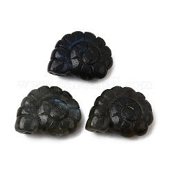 Природные подвески лабрадорита&nbsp;G-NH0065-01C