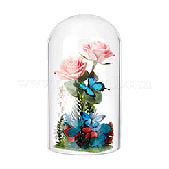 Стеклянные крышки купола cloche GLAA-WH0057-07