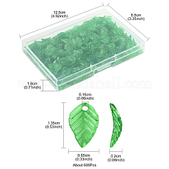 600шт прозрачные акриловые подвески TACR-FS0001-62