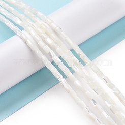 Нити бусин из натуральной ракушки трохус&nbsp;SSHEL-H070-01G