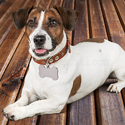 10 шт. подвески из нержавеющей стали 304 двух цветов STAS-BBC0007-20