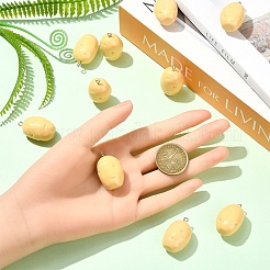 10 шт. подвески из непрозрачной смолы&nbsp;RESI-YW0004-60