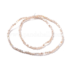 Стеклянные бусины с гальваническим покрытием  GLAA-E036-04C